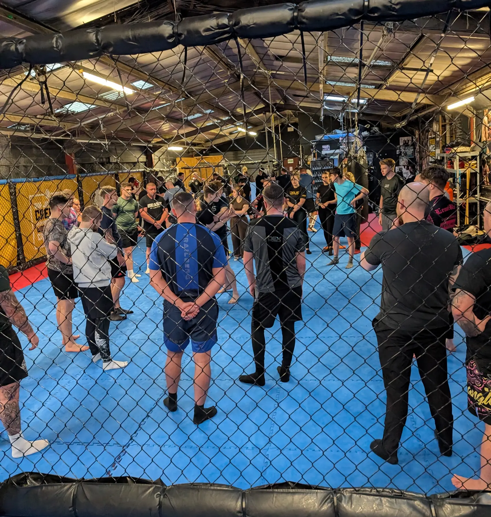 A full mixed martial arts class training together inside TFT MMA